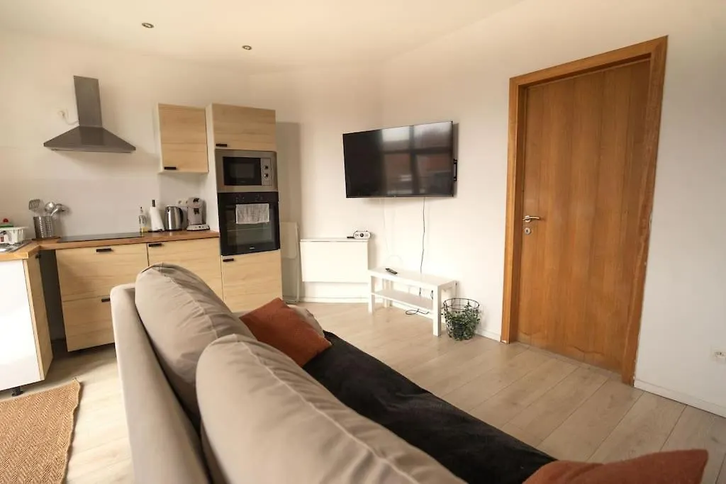 Appartement Au Centre-Ville Βρυξέλλες